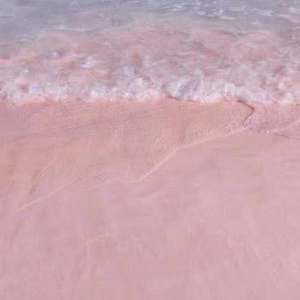 丰满少妇不让拔出来
